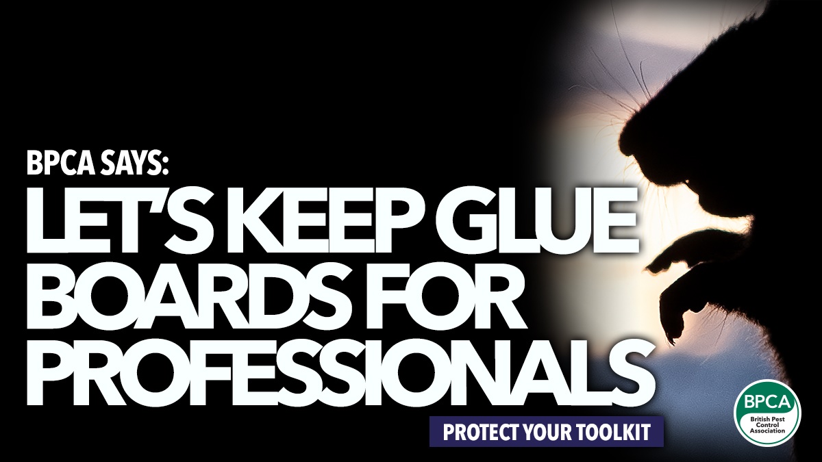 British Pest Control Association lobbying rodent glue boards professionals